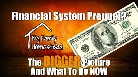 The Financial System PREquel The Stage Is Set | What to Do Now | Big Family Homestead