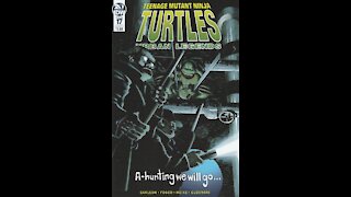 Teenage Mutant Ninja Turtles: Urban Legends -- Issue 17 (2018, IDW) Review
