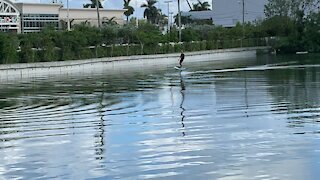 Hover Surfer in the canal