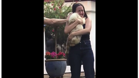 Boyfriend Surprises Girlfriend With New Puppy