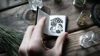 🍄 Miniature Mushroom Illustration Display 🍄