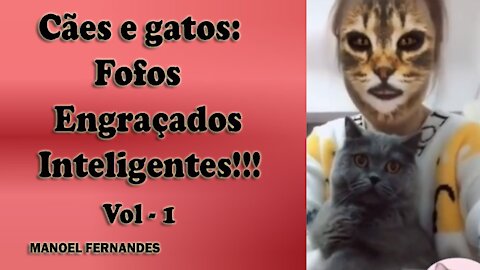 Cães e gatos: Fofos, engraçados e inteligentes!!! Vol - 1