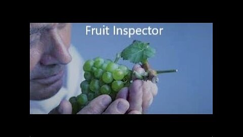 Fruit Inspector