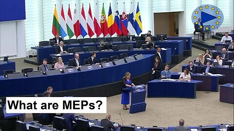 🇪🇺 MEPs Discuss Demands & Expectations for EU Migration Summit 🇪🇺