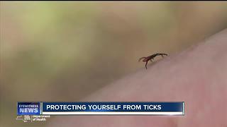 Tracking ticks in Erie County