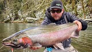 The Extra 5% - Keys To Being A Better STEELHEAD FISHERMAN!