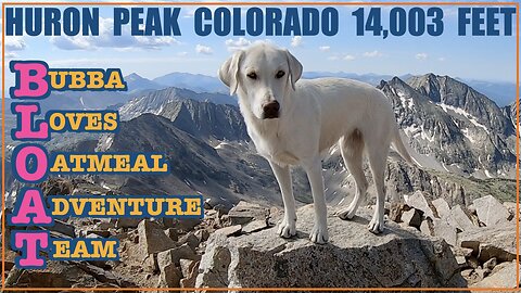 Oatmeal Climbs Huron Peak 14,003 Feet : Colorado 14er