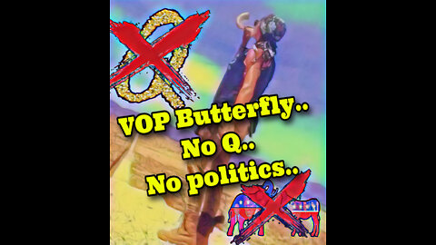 VOP Butterfly..No Q, No politics..
