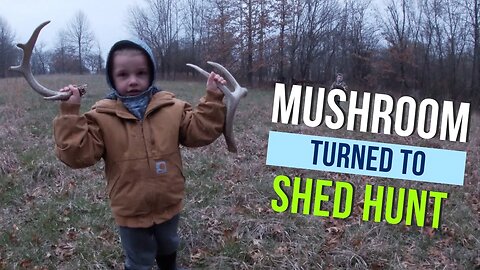 Mushroom Hunt Turned to Shed Hunt - Eason Season
