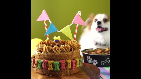 Birthday Cake for the Dog