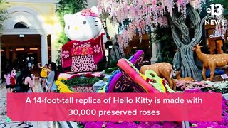 Hello Kitty at Bellagio Conservatory