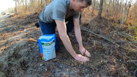 Planting Trees on the Farm