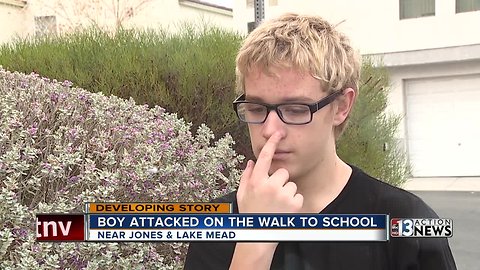 Teen says man punched him and then stole his phone