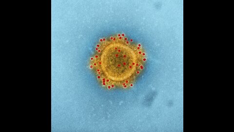 Cytokines Series: Interferon Gamma - The immune system support cytokine.#shorts