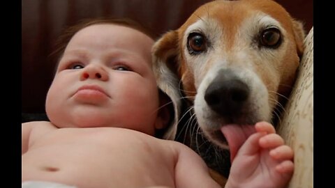 Look at that!!! Dogs and cats that defend babies from attacks.