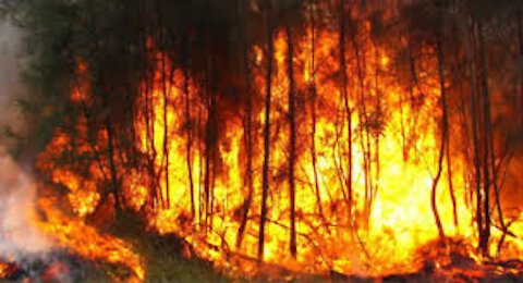 Huge fire in Tizi Ouzou Algeria July 22 - 2020
