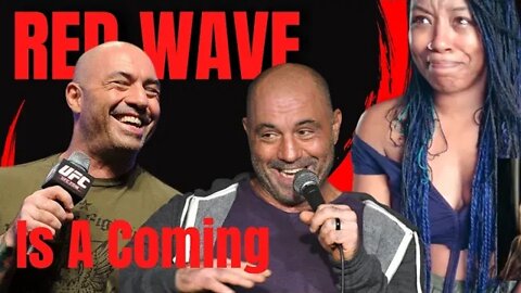 Joe Rogan - The RED WAVE - { Reaction } - Joe Rogan Says A Red Wave Is Coming - Joe Rogan Reaction