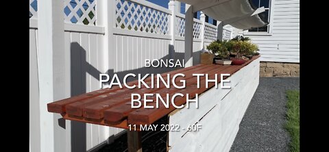 Packing the Bench