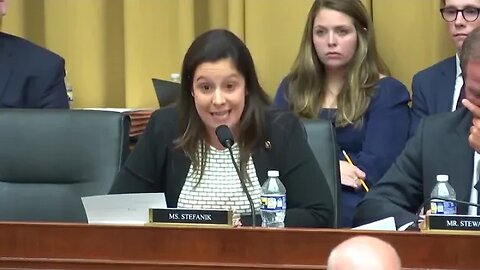 Stefanik questions witness at Weaponization hearing on 2020 election interference