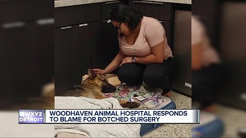 Detroit family says German Shepherd's botched surgery cost dog its leg