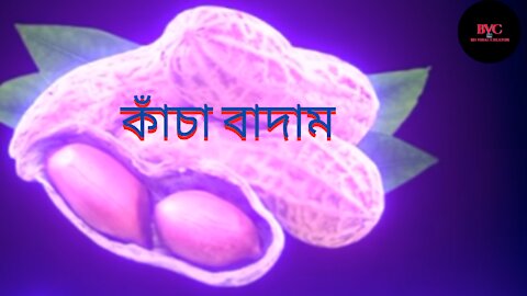 Kacha Badam Song ||আমার কাছে আছে শুধু কাঁচা বাদাম ||