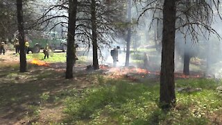 Wildland firefighting recruits finish interagency Southwest Idaho Fire Training Wildland firefighting recruits finish interagency Southwest Idaho Fire Training