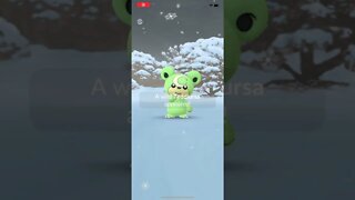 Shiny Teddiursa Snow background