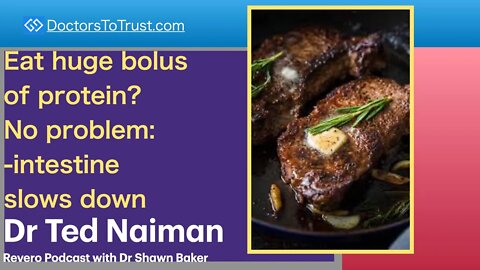 TED NAIMAN 4 | Eat huge bolus of protein? No problem: intestine slows down