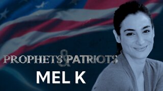 Prophets and Patriots - Episode 17 with Mel K and Steve Shultz