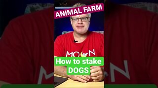 URGENT! Animal Farm DOGS staking!