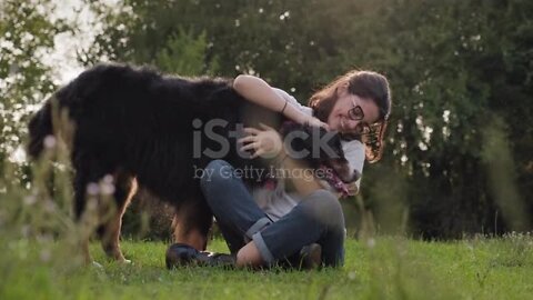 Portrait Of Happy Young Woman Girl Hugging Dog Pet stock video