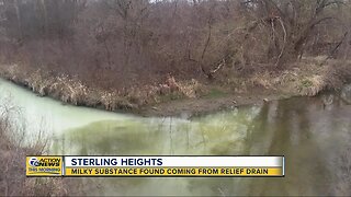 Milky substance found coming from relief drain in Sterling Heights