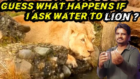 Funny animals video | Asking water to Lion | RJ Ashok 1994