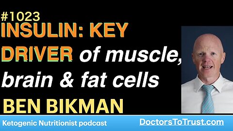 BEN BIKMAN : | INSULIN: KEY DRIVER of muscle, brain & fat cells