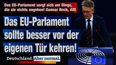 Das EU-Parlament sorgt sich um Dinge, die sie nichts angehen Gunnar Beck AfD