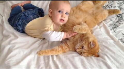 Cats Meeting Baby for the FIRST Time Compilation