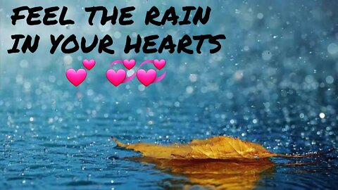 Rain teach us so many things #rain #relaxing #live #status #rainvideoforsleep rain video for sleep