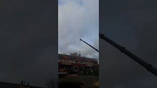 3 bomen achter in de steeg weg.