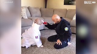 Atleta de Jiu-jitsu treina com o seu cão