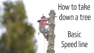 How we take down a tree #1 : Tree removal using a basic speedline