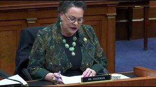 Rep. Harriet Hageman Tears Into Biden's 'Censorship Industrial Complex'