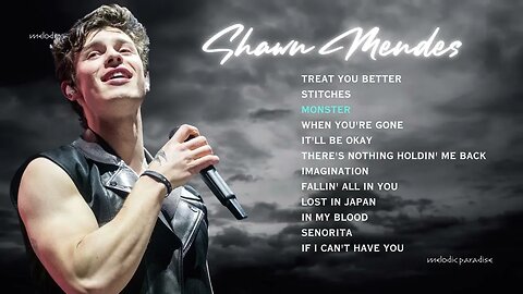 Shawn Mendes Best Spotify Hit Song @shawnmendes Playlist Popular Song English Song