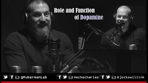 Role And Function Of Dopamine - Jocko Willink & Andrew Huberman