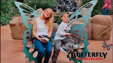 Butterfly Wonderland: A Rainforest Exhibit 🦋Scottsdale Arizona