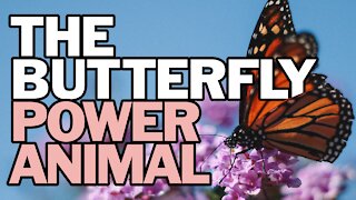 The Butterfly Power Animal