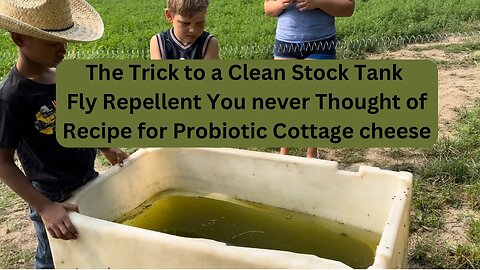 Keeping Stock Tanks Clean and The simplest Fly control, Probiotic Cottage Cheese Recipe