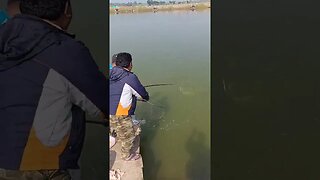 #shorts #viral #bangali #fishingvideo