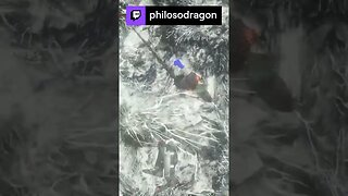 Dragon Yeeeeted! | philosodragon on #Twitch