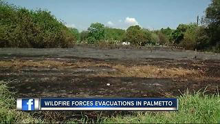 Wildfire forces evacuations in Palmetto