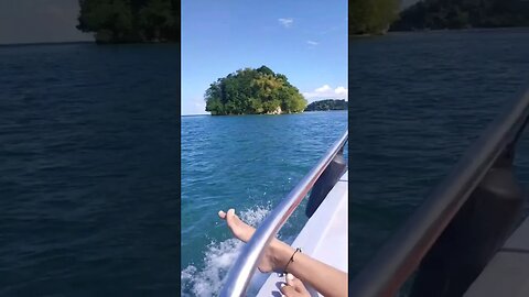 Portland jamaica Boat Ride #shorts #shortsfeed #jamaica #nature #travel #youtubeshorts #shortviral